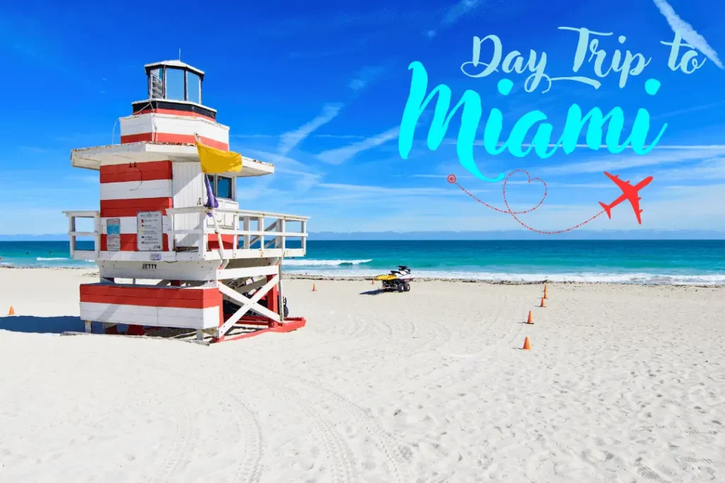 what to see in miami in one day