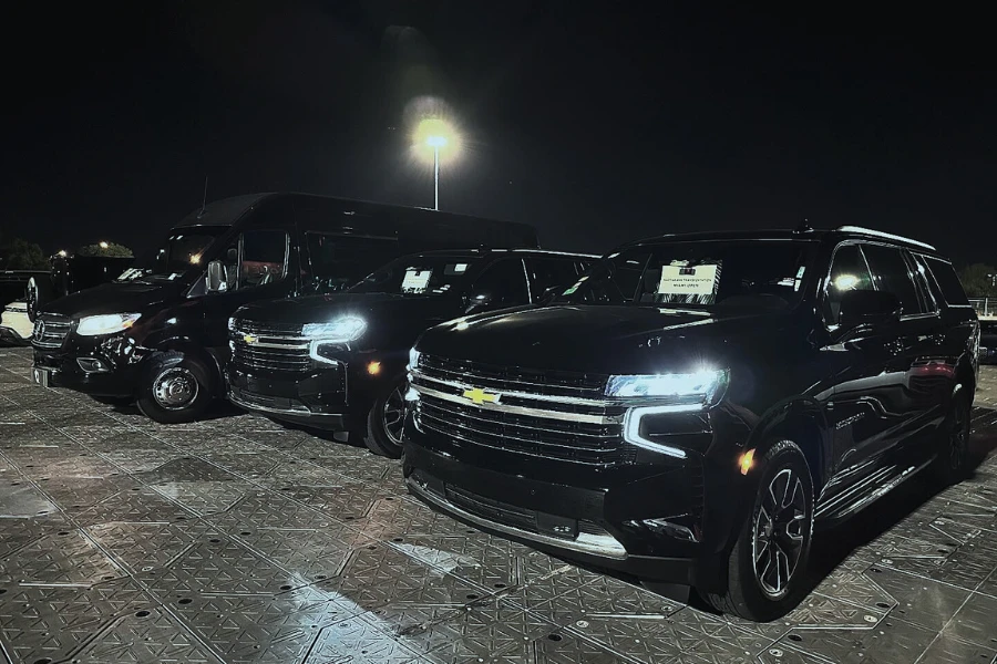Best Limousine Service Seminole Manor - Our Fleet