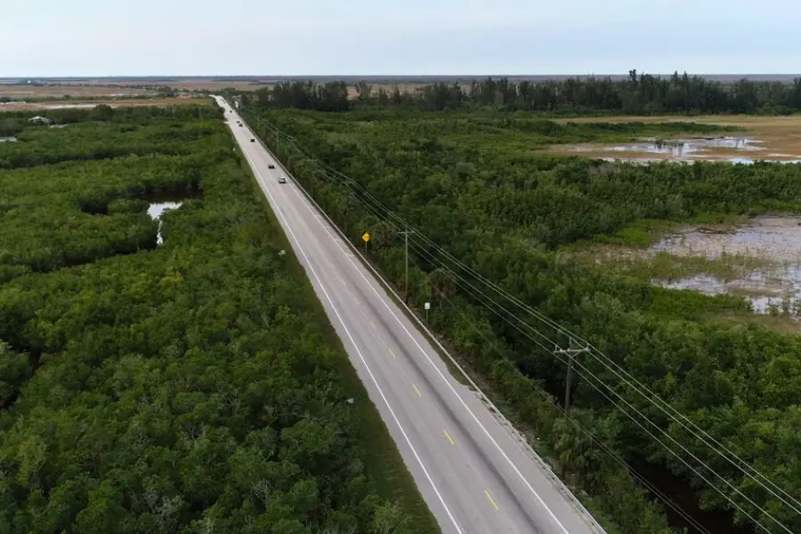 Top Rated Limousine Service Tamiami